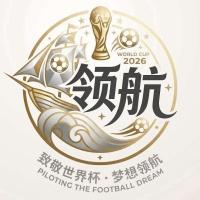 领航国际火爆开业